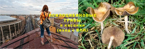 ALPHA PVP Белокуриха