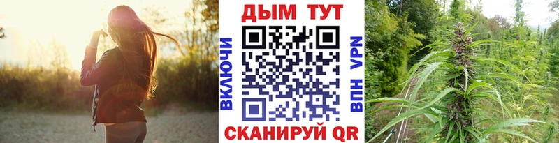 гидра   Вязьма  Бошки марихуана MAZAR 